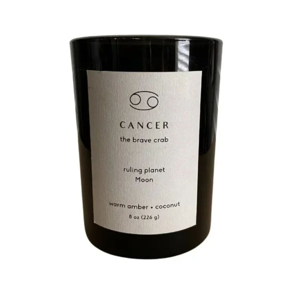 Target Project 62 Cancer  The Brave Crab 8oz Candle Warm Amber-Coconut Soy Wax 1